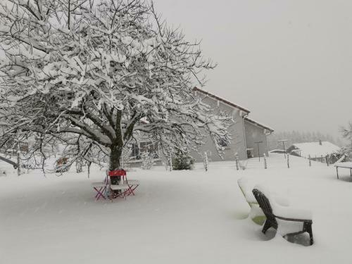 Apartamento Chalet Du Petit Cerf