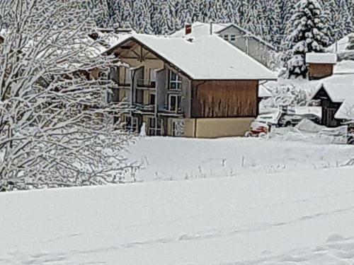Apartamento Le Cozy Du Poli