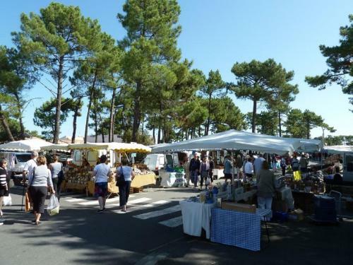 Mobile-home 4 Personnes