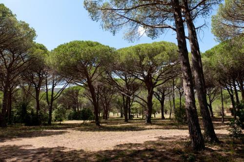 Palombaggia Villa