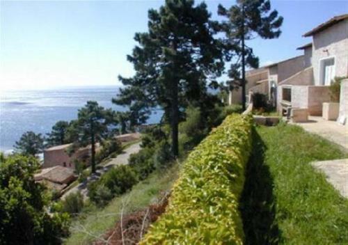 Apartamento Asphodele