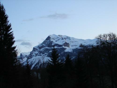 Mountain View Apartment 40m2