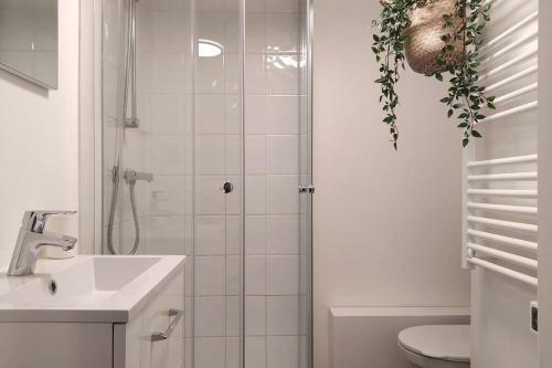 Apartamento Le Dodo Tolsto�