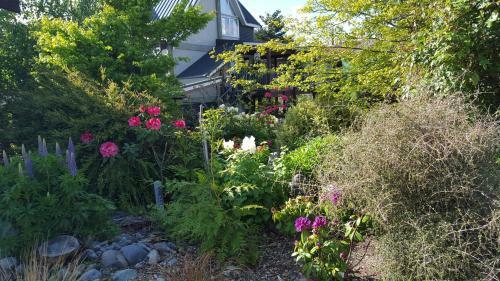 Bed & Breakfast Marie Therese B & B