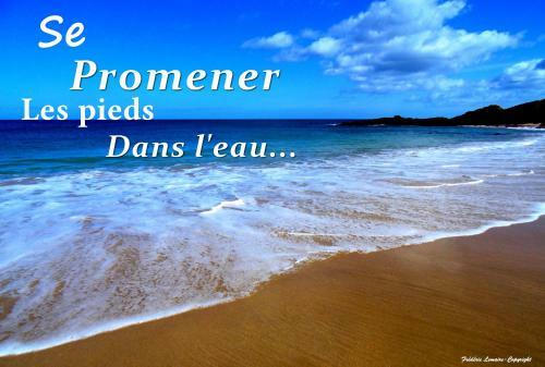 Apartamento La Plage Cap Houses