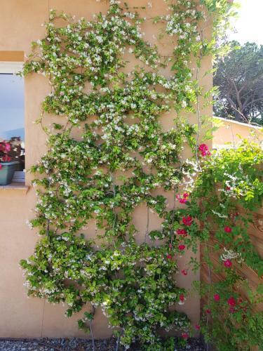 Hostal Villa Esmeralda