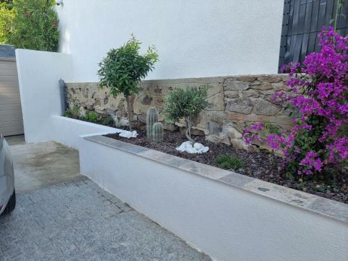 Villa Corsaire 2