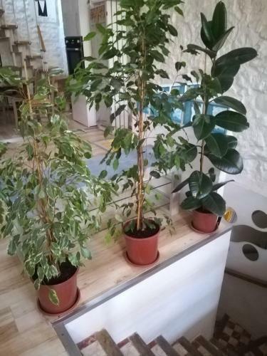 Apartamento Maison de Ville, Terrasse, Chaleureuse