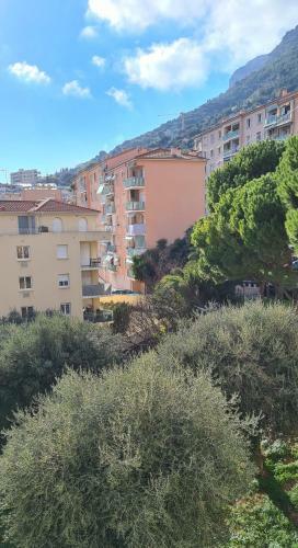 Beautiful Apartment 3min From Monaco Monte-carlo