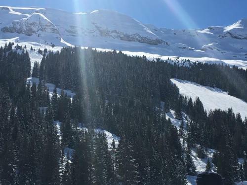 Apartamento Flaine Forum Cassiop�e K2