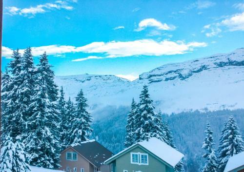 Charming 4-bedroom Ski Chalet With Terrace