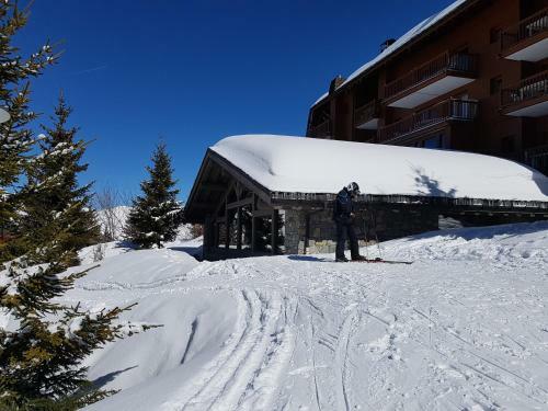 Apartamentos Premium Les Alpages de Chantel