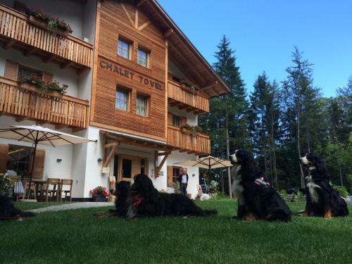 Hotel Chalet Tovel - Mountain Lake