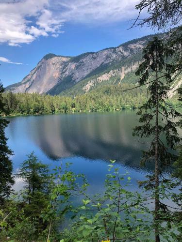 Hotel Chalet Tovel - Mountain Lake
