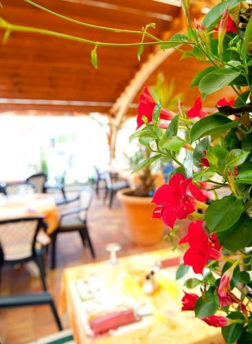 Hotel H�tel-restaurant Au Soleil