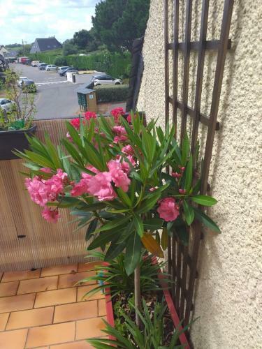 Apartamento Appartement La Nacre Vue Mer �loign�e