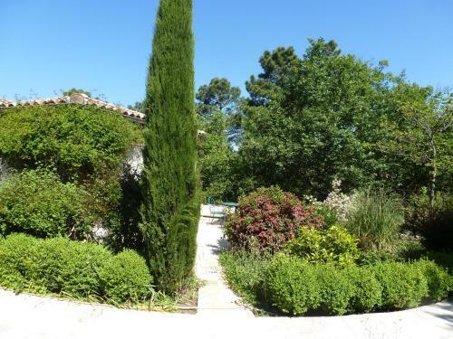 Domaine Du Planas - Patio