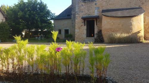 Bed & Breakfast Manoir de La Croix Verte