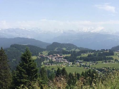 Apartamento Appartement Le Praz de Lys