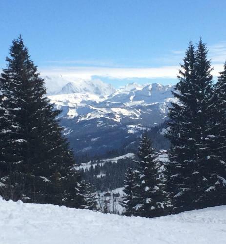 Apartamento Appartement Le Praz de Lys