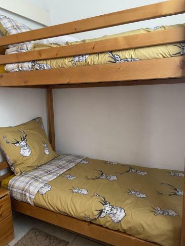 Chalet Bastilor