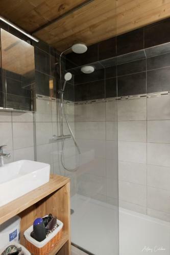 Apartamento Duplex Esprit Montagne 464 Silveralp