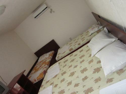 Hostal Pensiunea Ruxandra