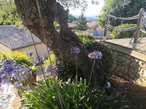 Chalet de Charme Tout Confort