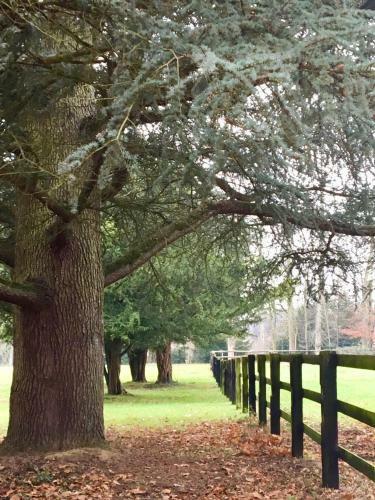 Bed & Breakfast Le Domaine D'ol�ne
