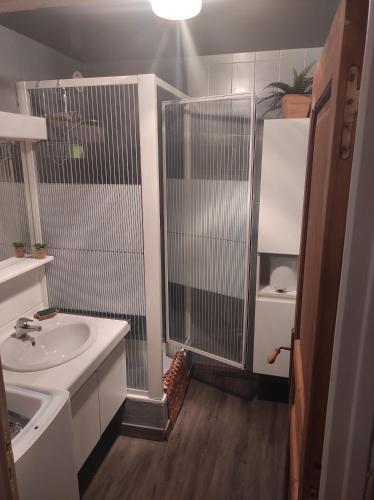 Apartamento Boost Your Immo Olympe 2 Alpes 507