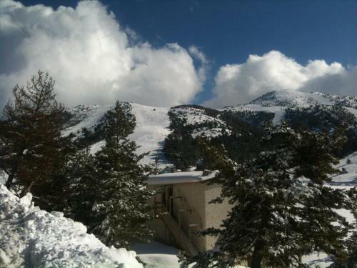 Apartment Face Aux Pistes