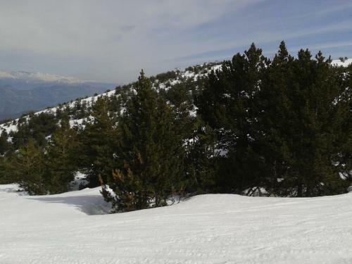 Apartment Face Aux Pistes