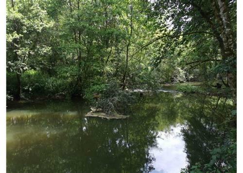Apartamento Entre Bassin Et Oc�an