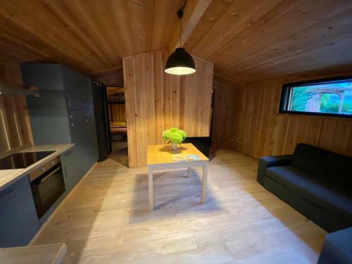 Immersion For�t Cabane Bois L�ge Cap Ferret 1-4p