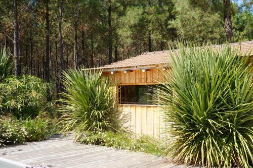 Immersion For�t Cabane Bois L�ge Cap Ferret 1-4p