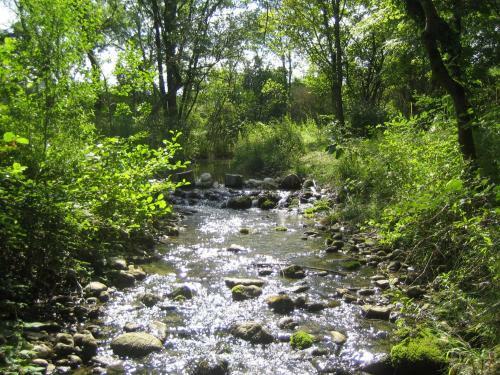 Les Th�olats