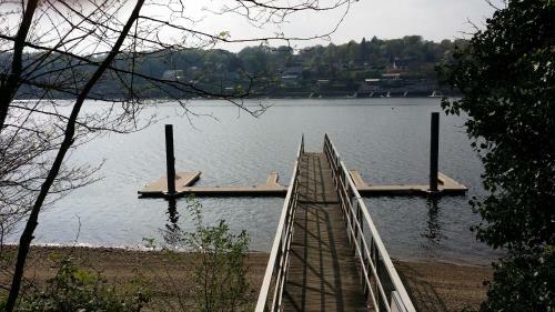 Les Foug�res Du Lac