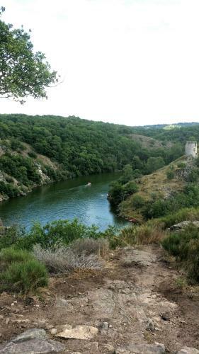 Les Foug�res Du Lac
