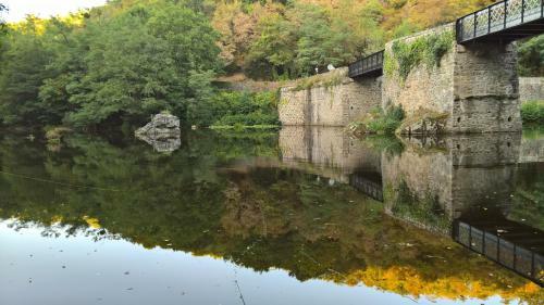 Les Foug�res Du Lac
