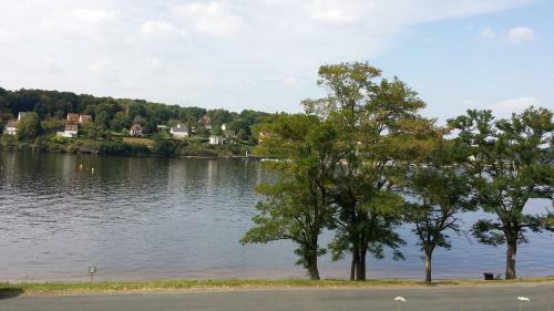 Les Foug�res Du Lac