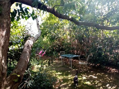 Hostal L'itin�rante