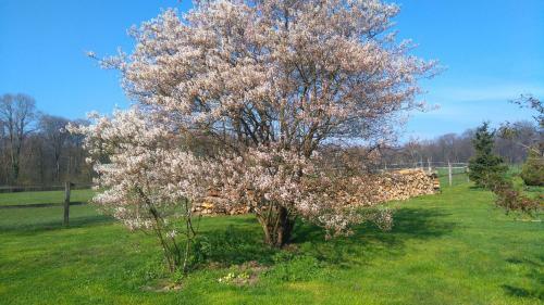 Bed & Breakfast Ferme de La Haye