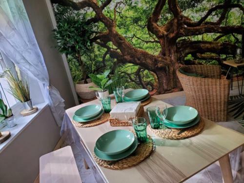 Physis Ambiance Nature