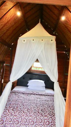 Hostal Dikaloha Surfschool And Stay