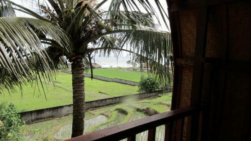 Hostal Dikaloha Surfschool And Stay