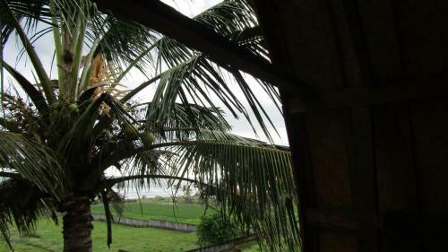 Hostal Dikaloha Surfschool And Stay