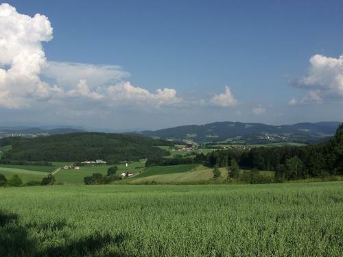 Gasthof-hotel Dilger