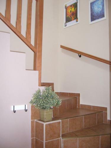 Apartamentos Villa Amenity