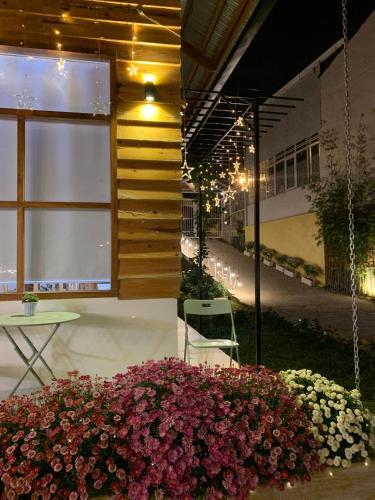 Apartamento C?n G? ?� L?t