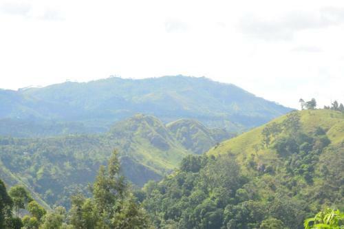 Bed & Breakfast Serandip Homesstay